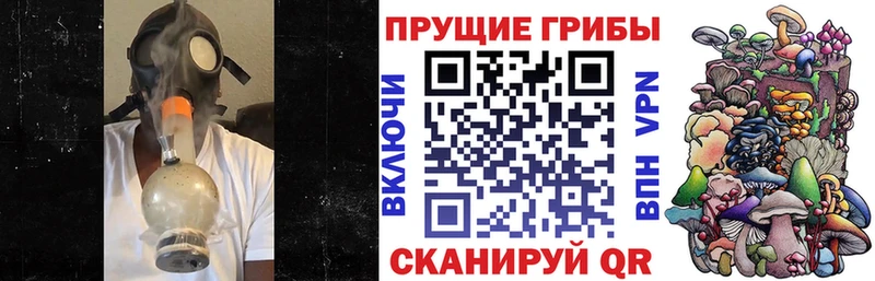 Псилоцибиновые грибы MAGIC MUSHROOMS  Алушта 