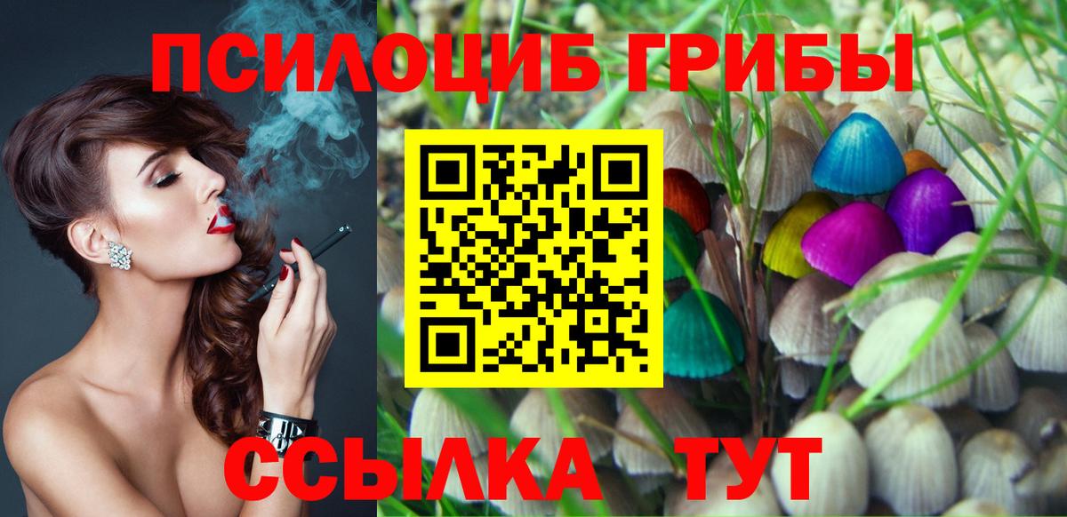 Псилоцибиновые грибы Psilocybine cubensis Алушта