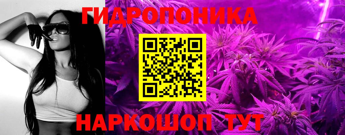 Канабис сатива  Каннабис OG Kush  Вход с VPN  Алушта 